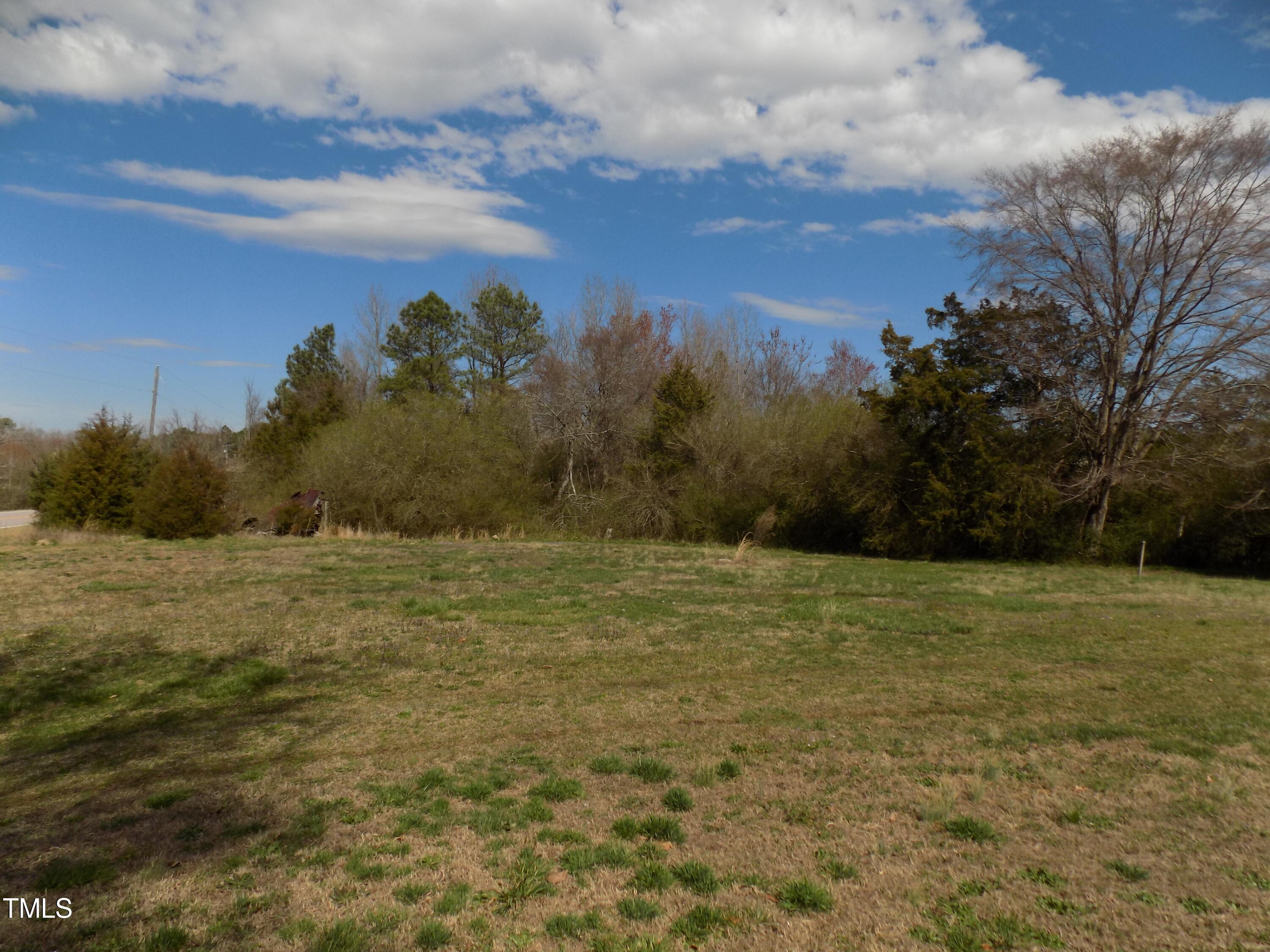 264 Dorsey Road Louisburg, NC 27549 - Photo 10 of 21 d12