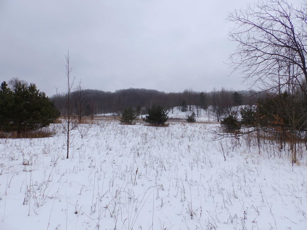 Keil Road Mancelona, MI 49659 - Photo 47 of 48 Gallery Image 47