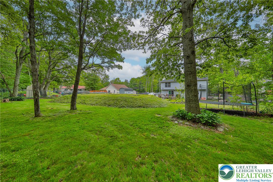4608 Pine Ridge Drive West Bushkill, PA 18324 - Photo 58 of 62 A spacious, verdant yard with mature trees offers a private and serene outdoor haven.