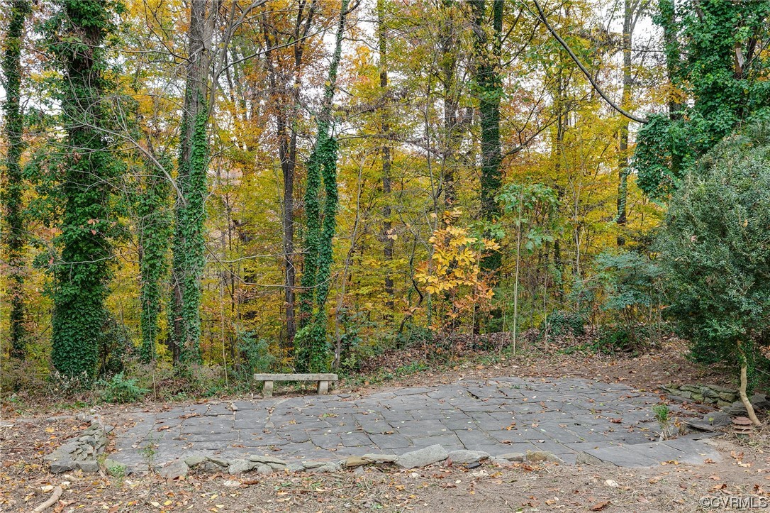 2225 Brookwood Road Richmond, VA 23235 - Photo 33 of 34 a view of a yard with plants and trees