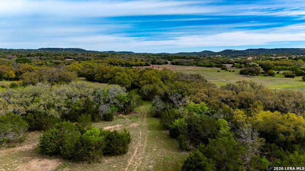 360 Bluff Creek Road North Center Point, TX 78010 - Photo 61 of 64
