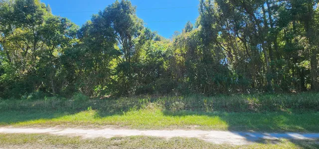 a view of swimming pool with a yard