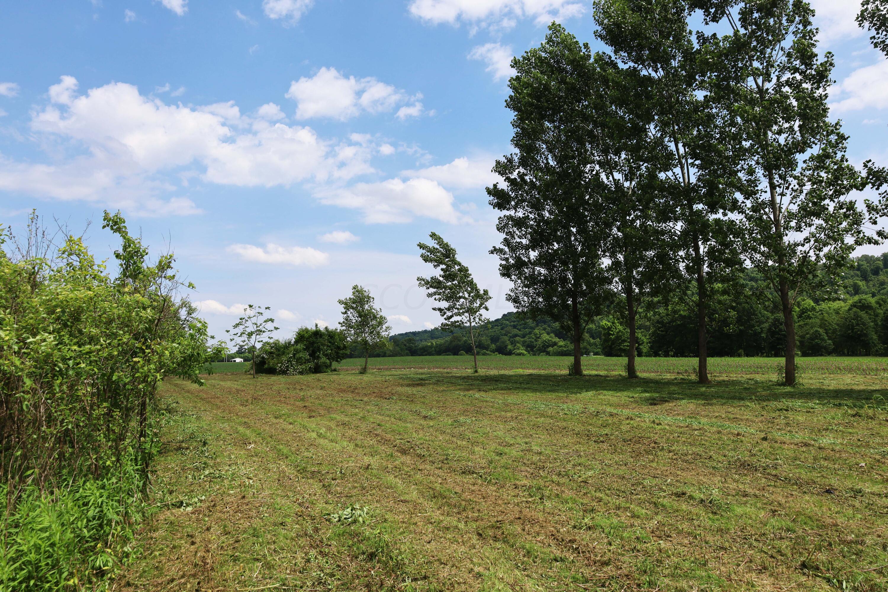0 Schoolhouse Road Frazeysburg, OH 43822 - Photo 10 of 31 IMG_9566
