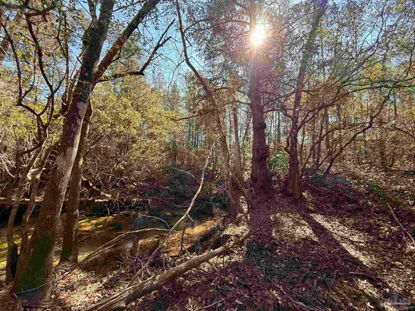$235,000 | Lot 18 Brook Crossing Street, Pace, FL 32571