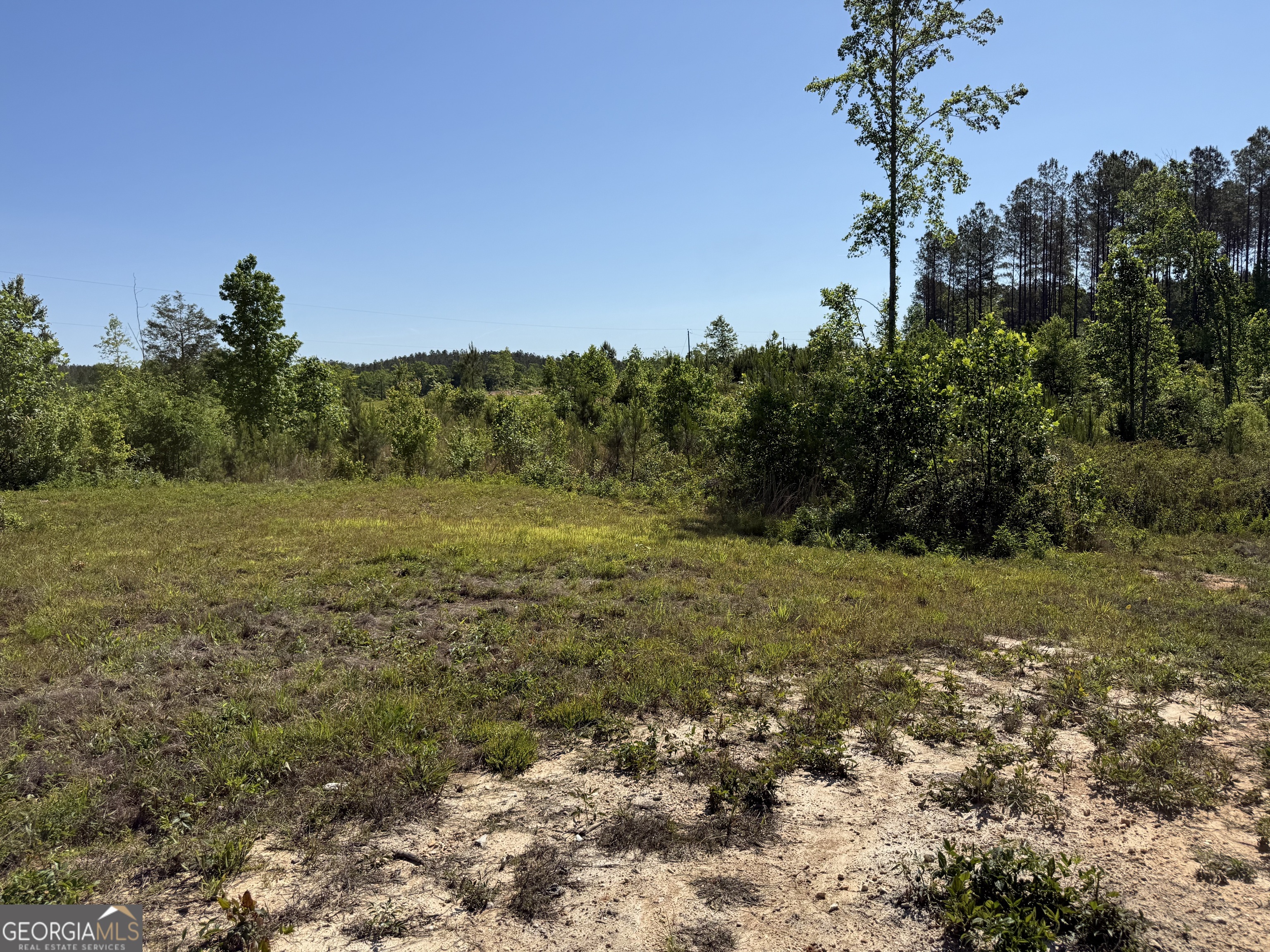 1185 County Road 402 Fruithurst, AL 36262 - Photo 43 of 54