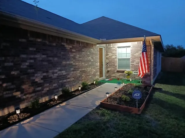 a view of a backyard with plants
