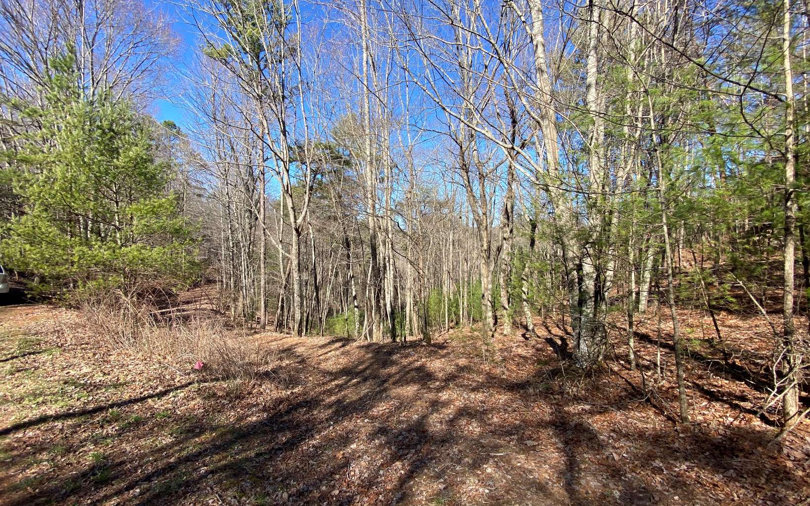 L2-3 My Mountain Road Morganton, GA 30560 - Photo 1 of 4 Main View