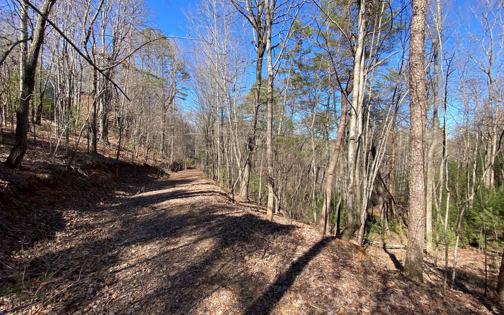 L2-3 My Mountain Road Morganton, GA 30560 - Photo 3 of 4 Additional View