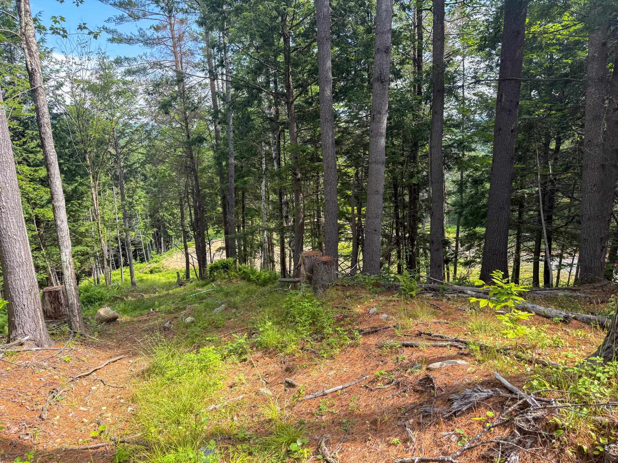 567 Sawnee Bean Road Thetford, VT 05075 - Photo 10 of 12