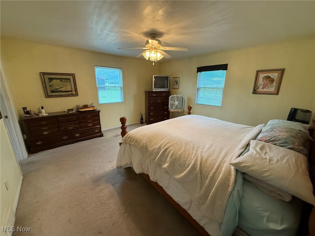 6920 Riverside Road Southeast Gnadenhutten, OH 44629 - Photo 18 of 41 Bedroom featuring multiple windows, carpet floors, a ceiling fan, and baseboards