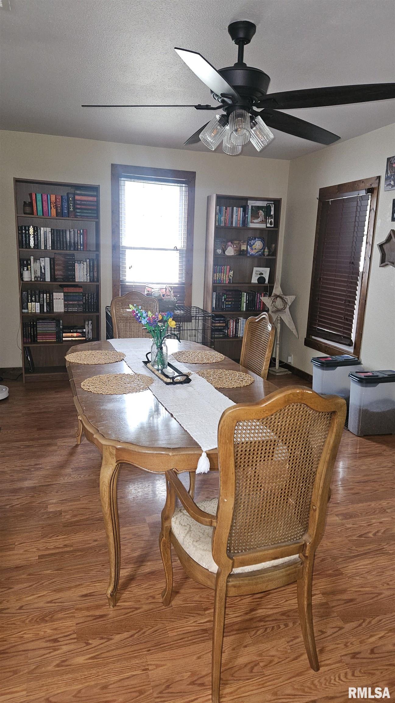 394 West Maple Street Canton, IL 61520 - Photo 4 of 32