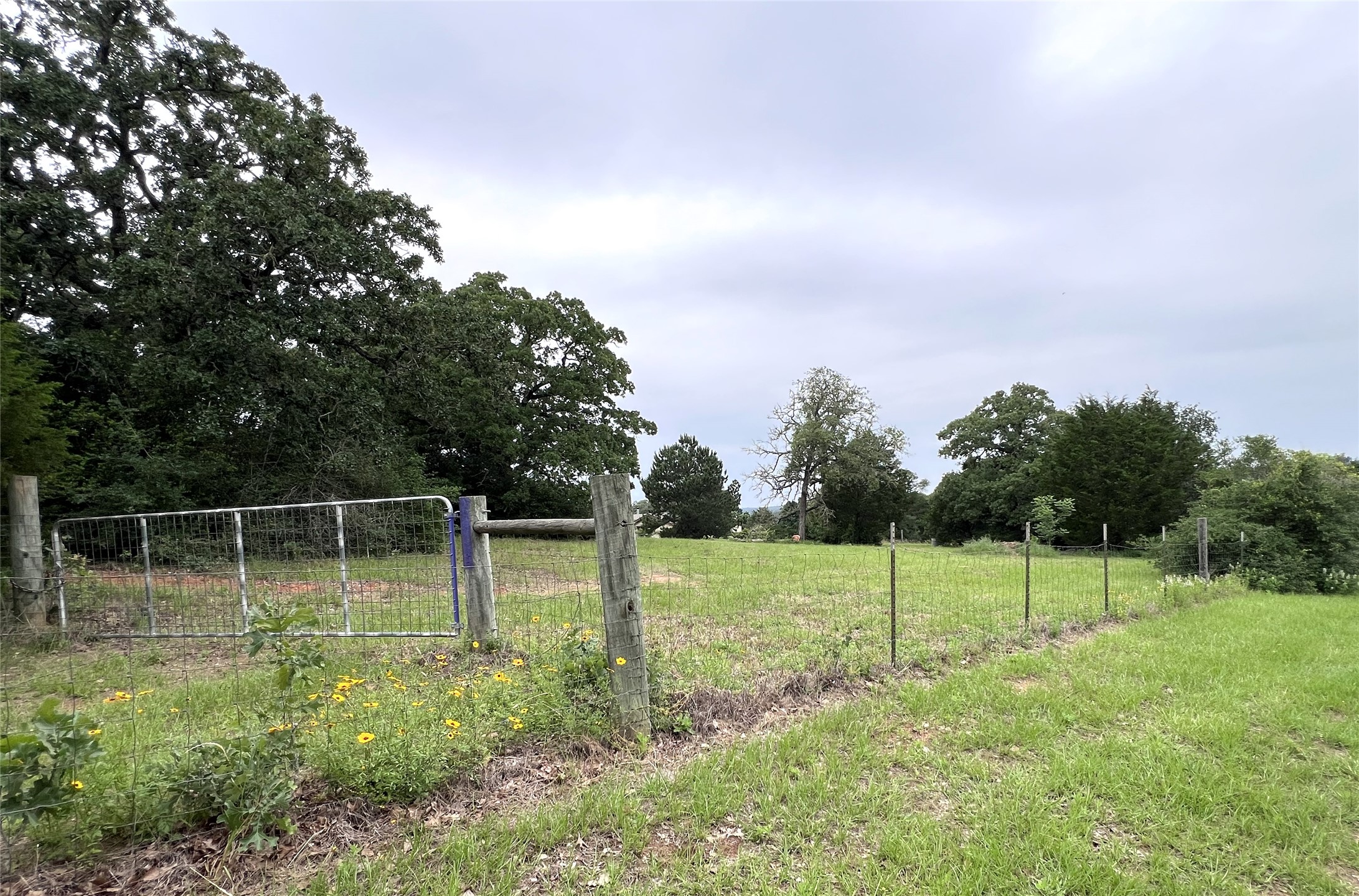 160 Rosanky Cattle Company Road, Unit R Smithville, TX 78957 - Photo 3 of 19 a garden view