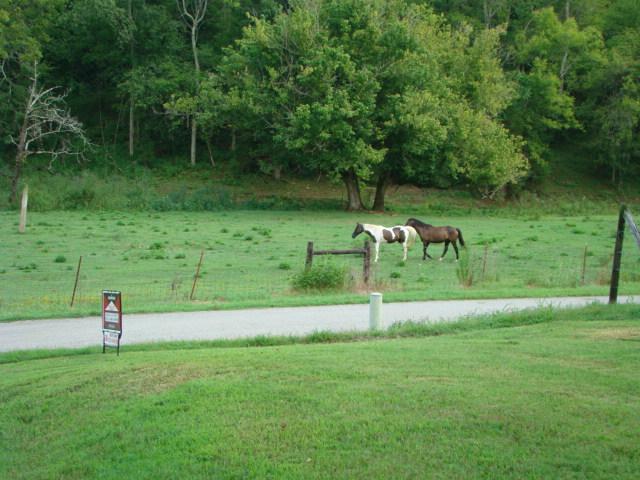 2058 Terrapin Branch Road Mount Pleasant, TN 38474 - Photo 17 of 20 View across road