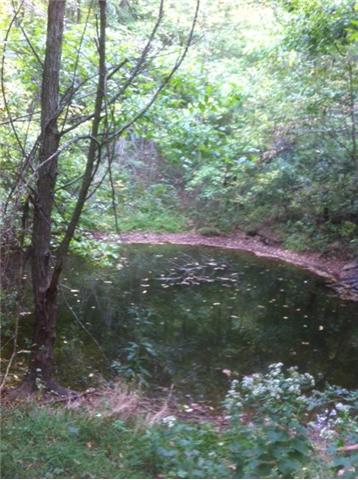 2058 Terrapin Branch Road Mount Pleasant, TN 38474 - Photo 20 of 20 Pond beside barn up the clearing