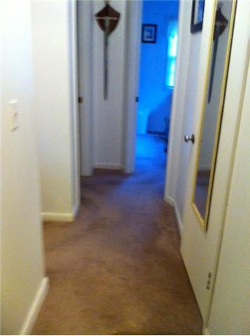 2058 Terrapin Branch Road Mount Pleasant, TN 38474 - Photo 9 of 20 Hallway