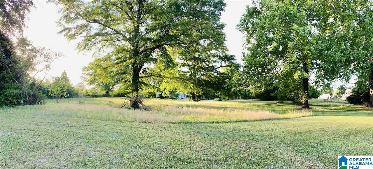 994 County Road 34 Clanton, AL 35045 - Photo 18 of 19