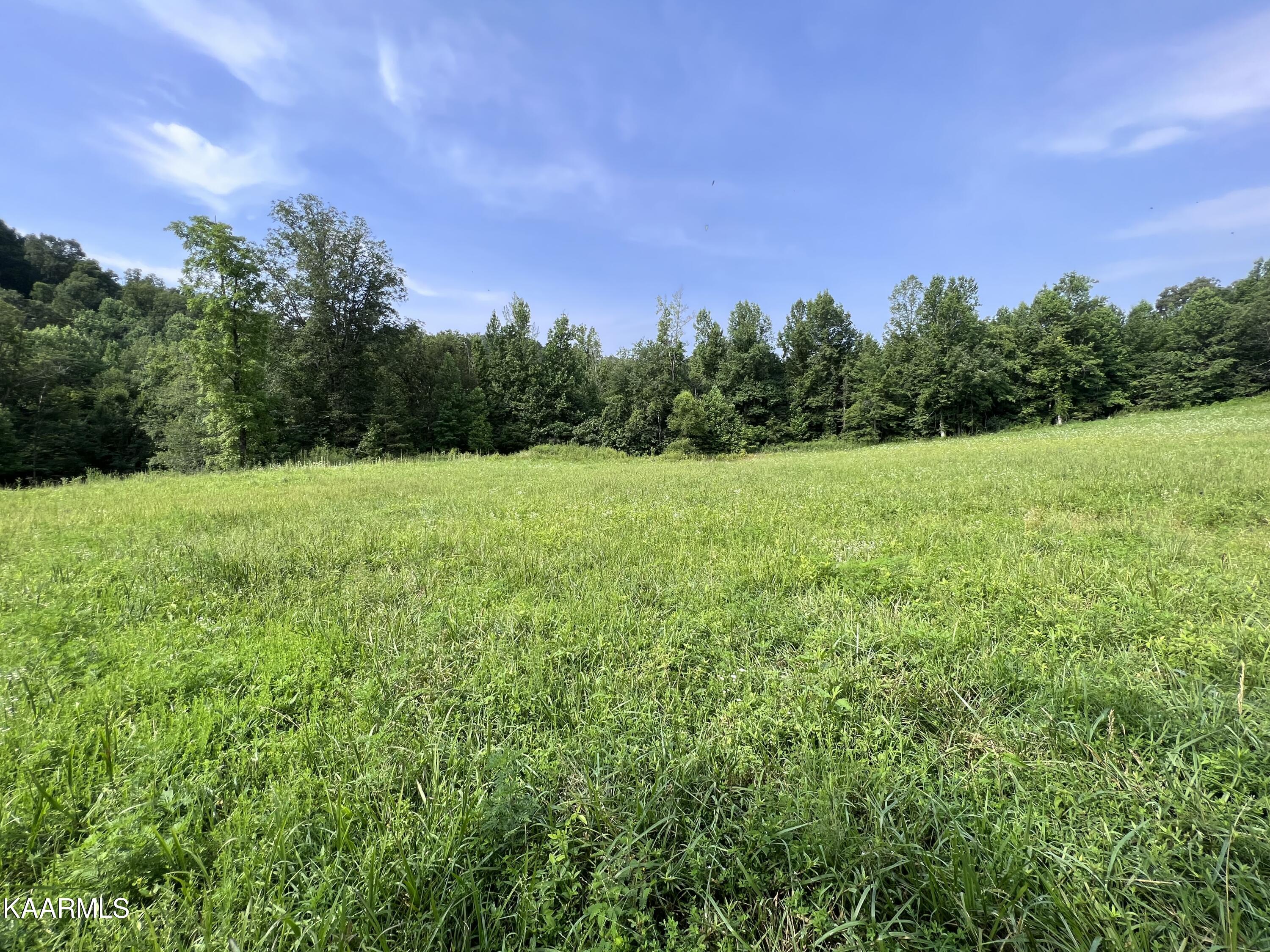1900 Lewallen Cemetery Road Sunbright, TN 37872 - Photo 25 of 47 IMG_6329