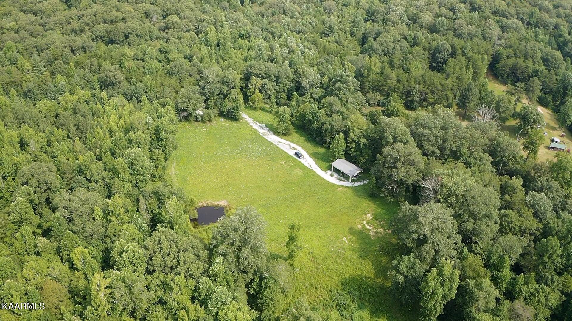 1900 Lewallen Cemetery Road Sunbright, TN 37872 - Photo 29 of 47 IMG_6325