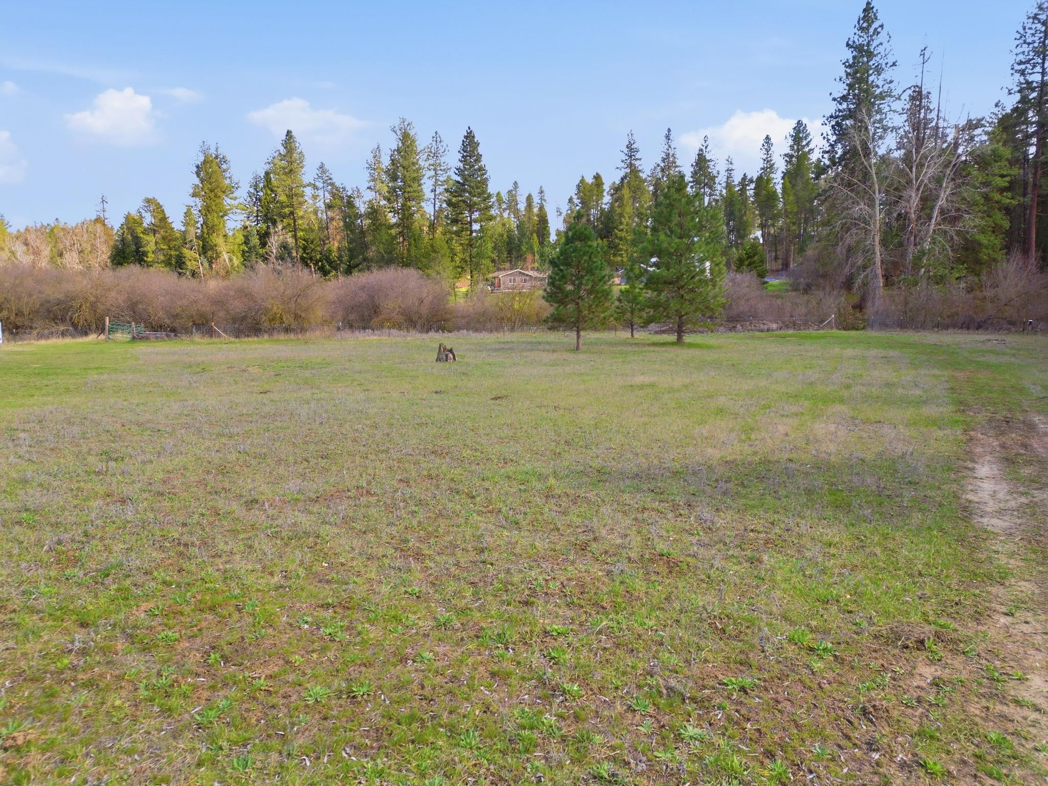 1020 West South Dragoon Drive Colbert, WA 99005 - Photo 45 of 50