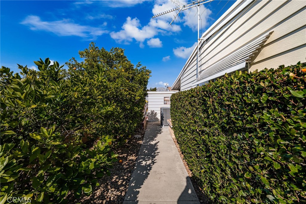 1331 Century Street Redlands, CA 92374 - Photo 27 of 35 a view of a garden with pathway