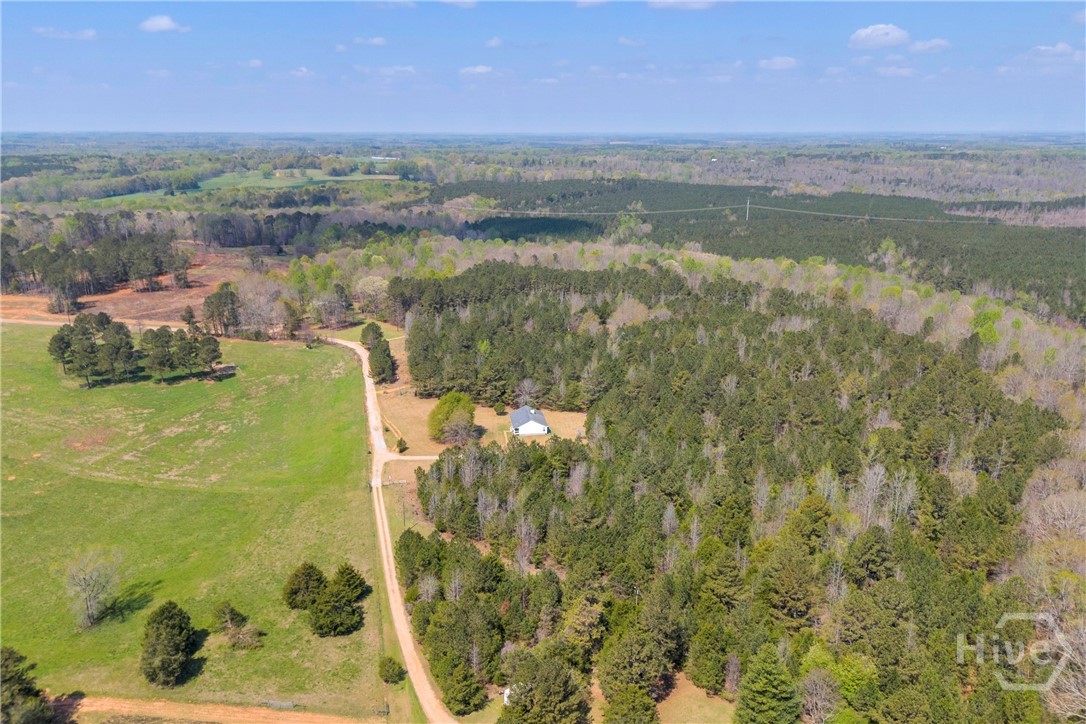 253 Sanders Old Farm Road Crawford, GA 30630 - Photo 3 of 34