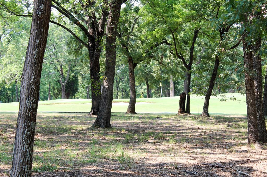 110 Bay Tree Trail Mabank, TX 75156 - Photo 20 of 20 a view of swimming pool with a trees
