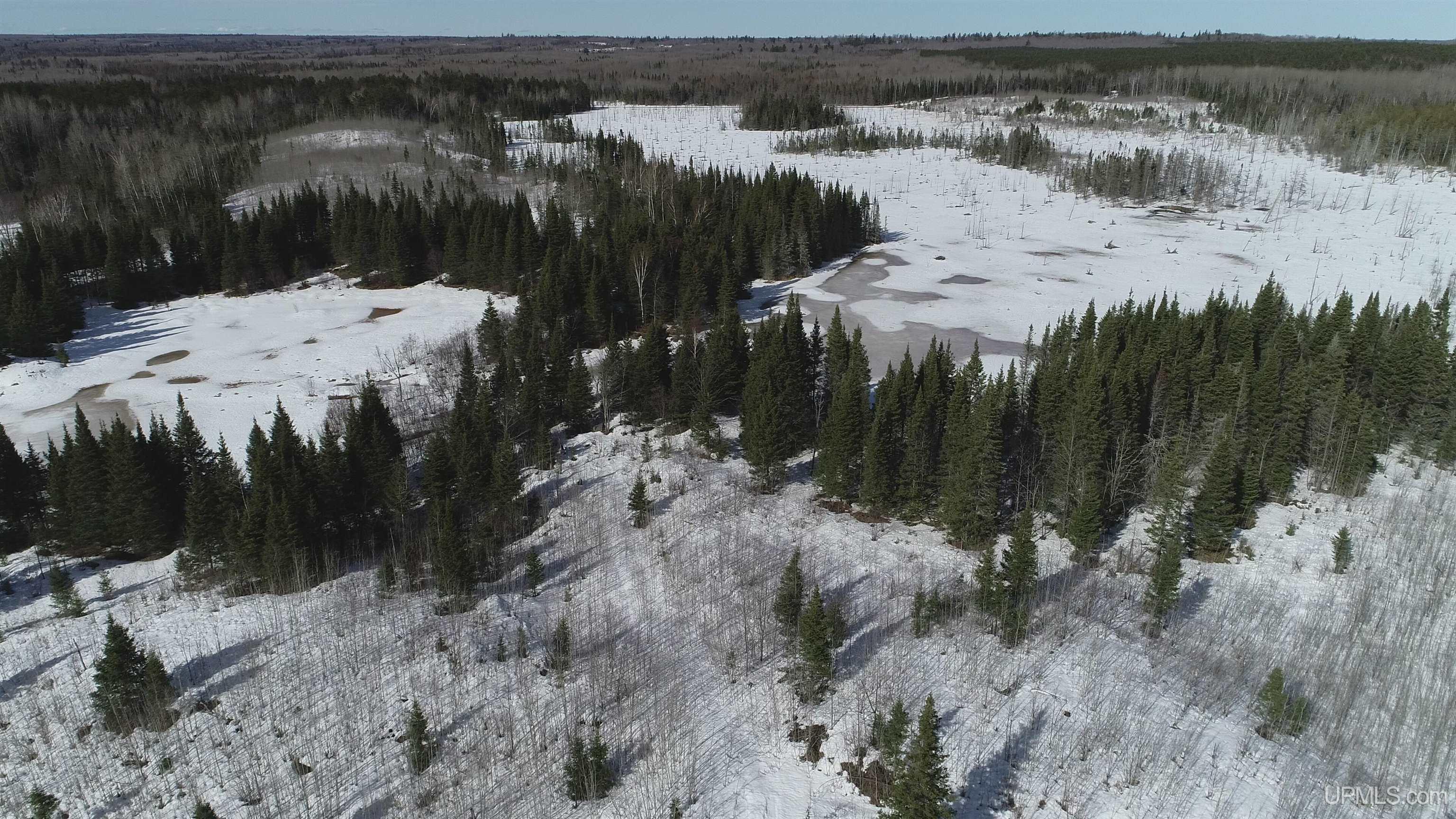 80-acres 80-acres 18th Road Republic, MI 49879 - Photo 15 of 25