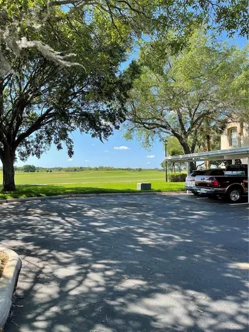 a view of a yard with large trees