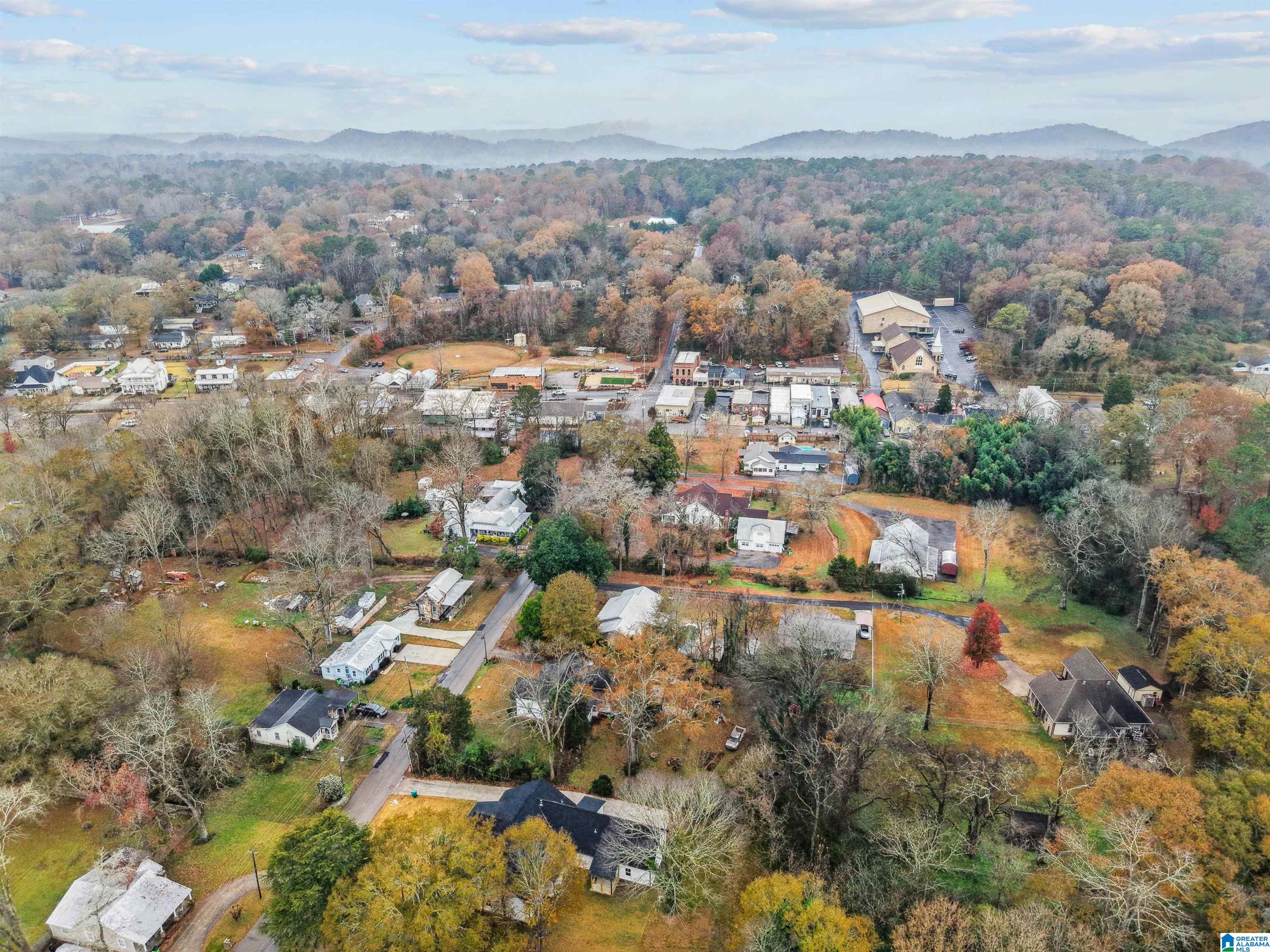 282 Robinson Street Springville, AL 35146 - Photo 63 of 68