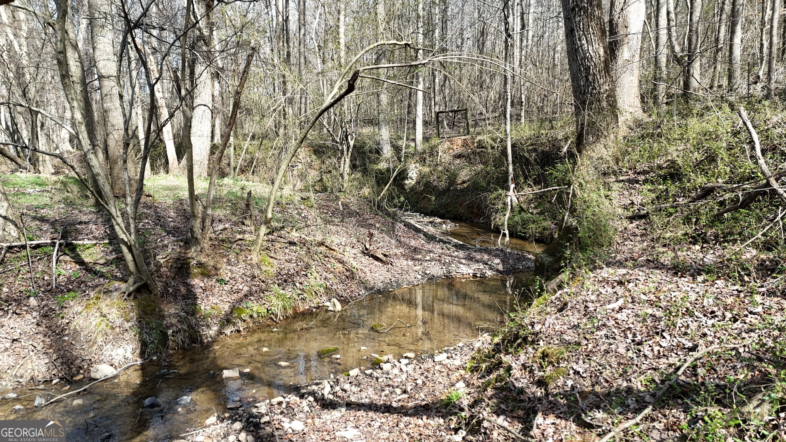 10 Colt Lane Commerce, GA 30530 - Photo 11 of 44 a backyard of a building with large trees