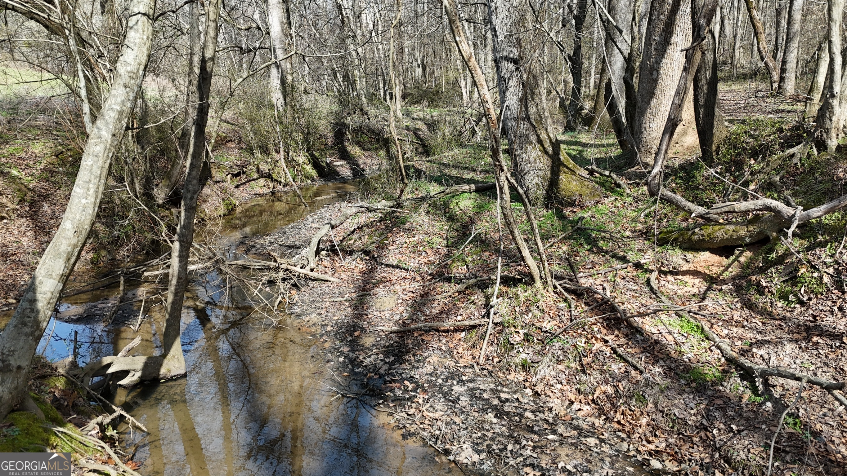 10 Colt Lane Commerce, GA 30530 - Photo 12 of 44 a view of a forest