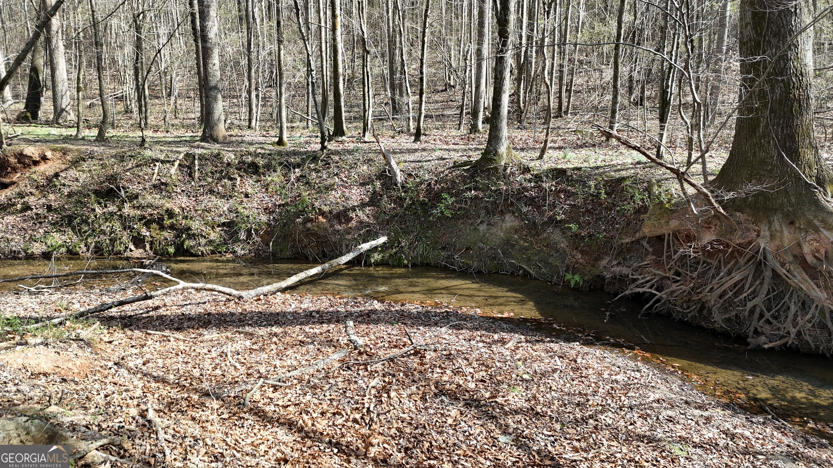 10 Colt Lane Commerce, GA 30530 - Photo 13 of 44 a view of a backyard with plants and trees