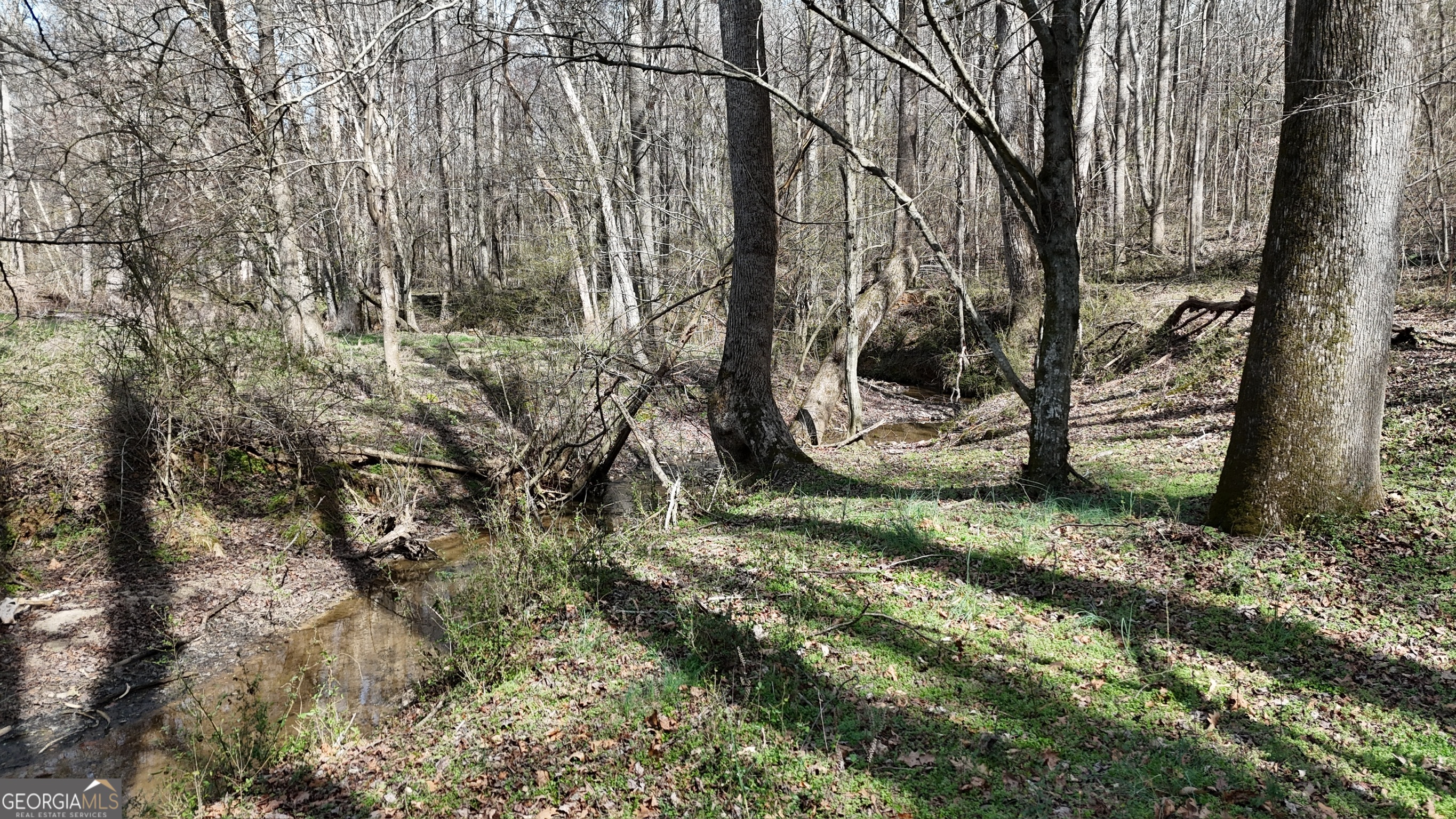10 Colt Lane Commerce, GA 30530 - Photo 14 of 44 a view of yard
