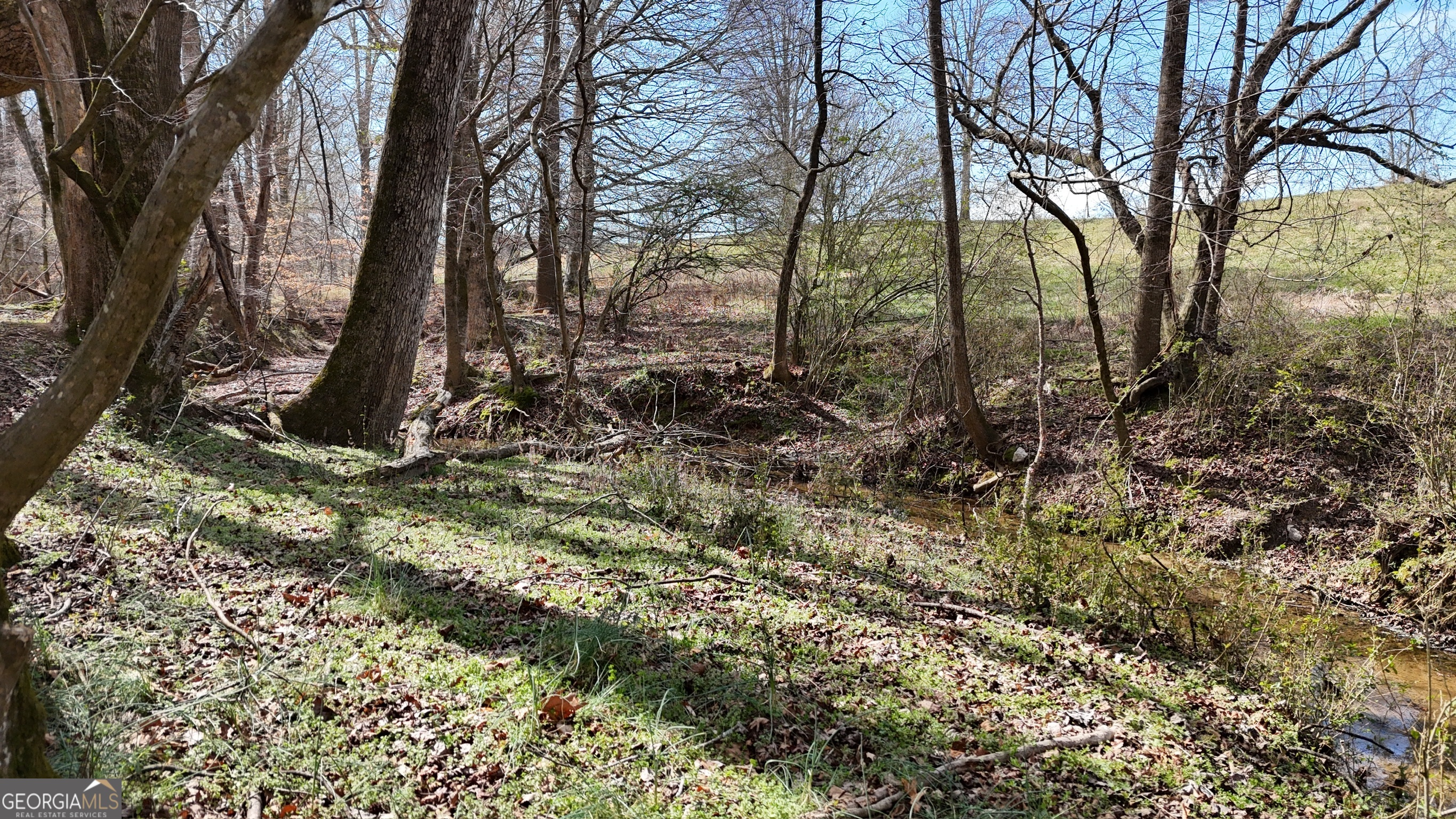 10 Colt Lane Commerce, GA 30530 - Photo 15 of 44 a view of a yard with trees