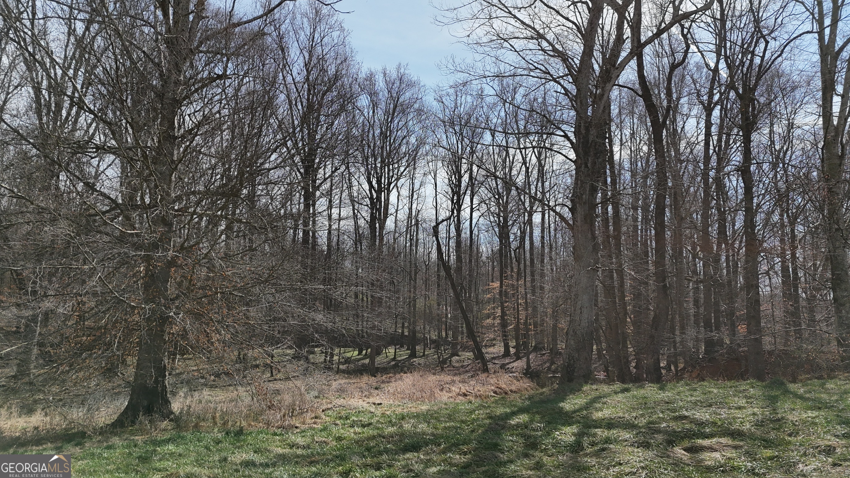 10 Colt Lane Commerce, GA 30530 - Photo 17 of 44 a view of backyard with tree