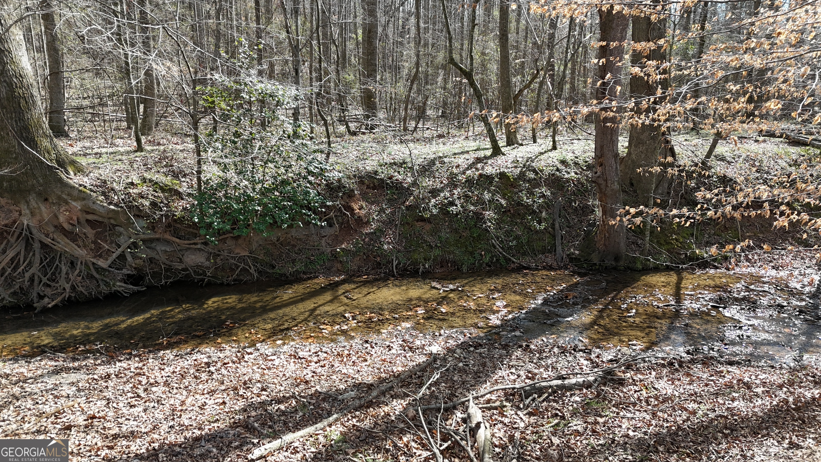 10 Colt Lane Commerce, GA 30530 - Photo 18 of 44 a view of a yard with plants and trees