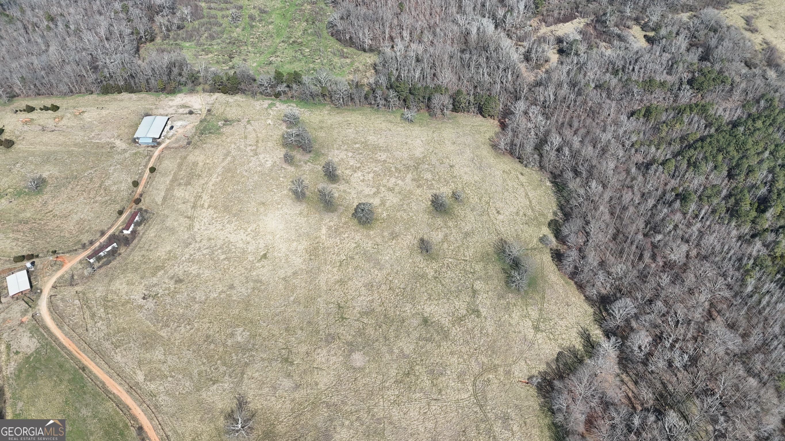 10 Colt Lane Commerce, GA 30530 - Photo 24 of 44 a view of a dry yard