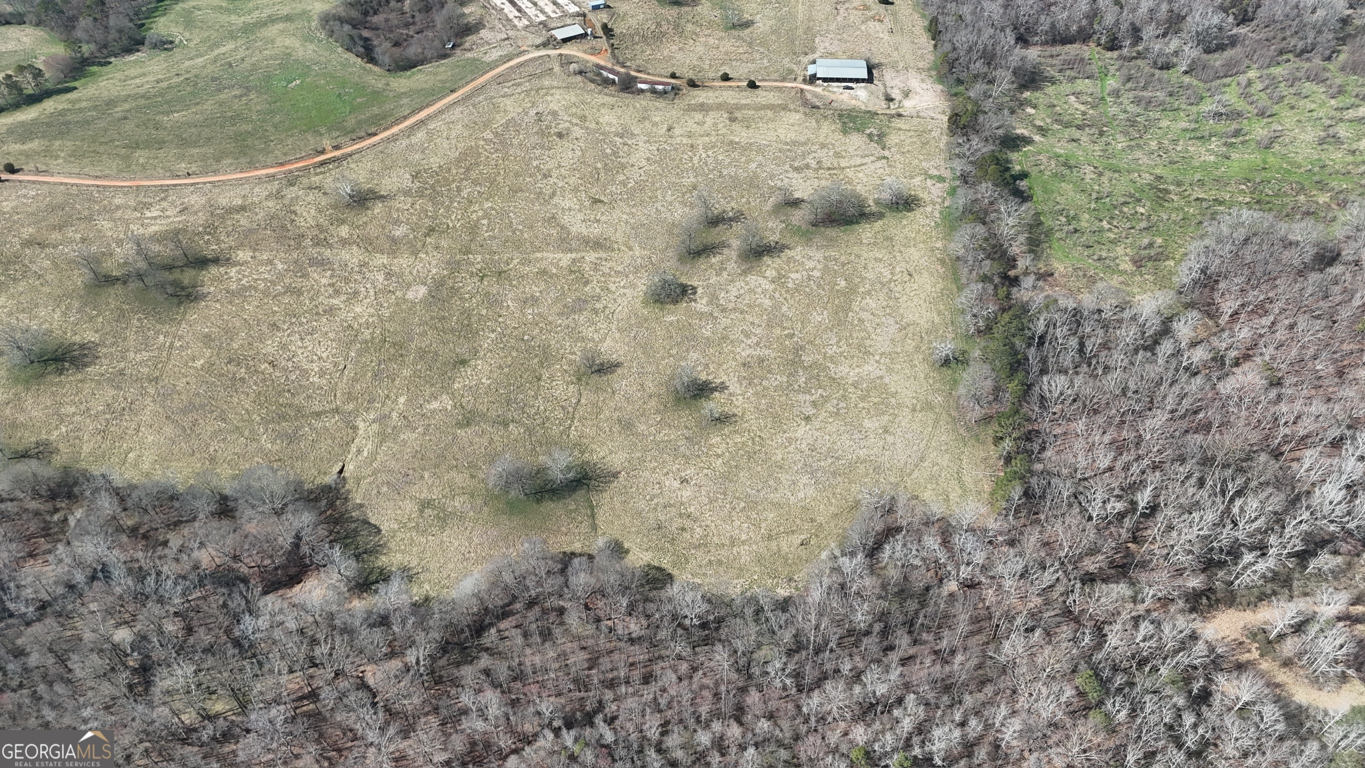 10 Colt Lane Commerce, GA 30530 - Photo 27 of 44 a view of a dry plant in a field