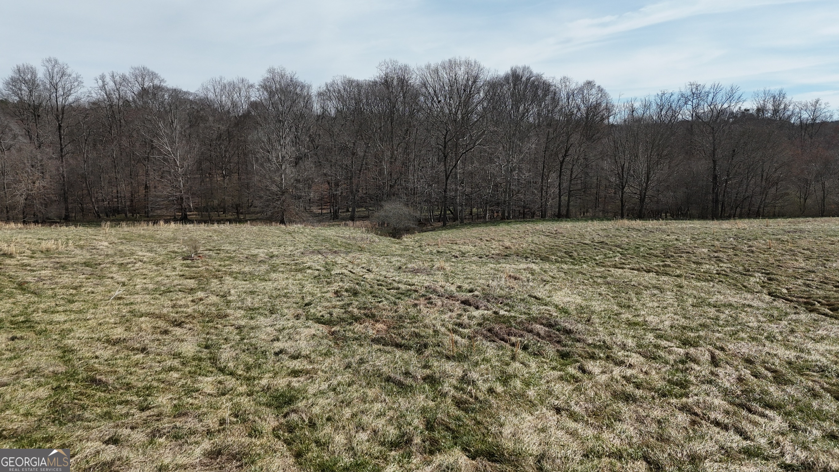 10 Colt Lane Commerce, GA 30530 - Photo 33 of 44 a view of a yard