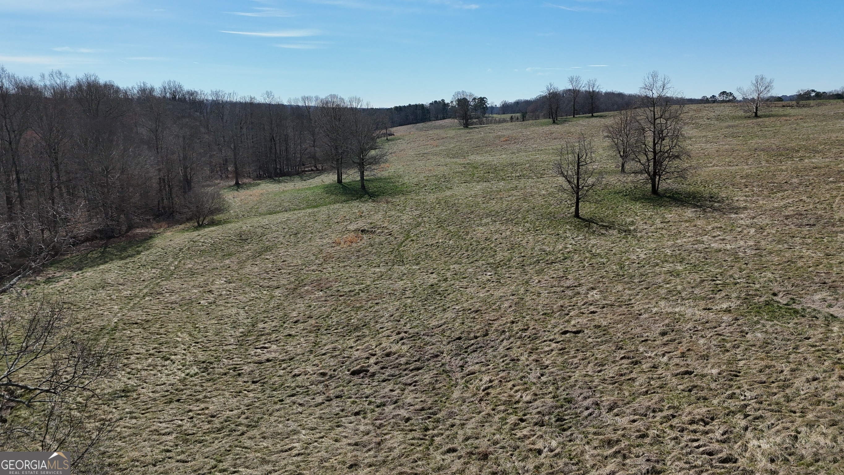 10 Colt Lane Commerce, GA 30530 - Photo 35 of 44 a view of a dry yard with wooden fence