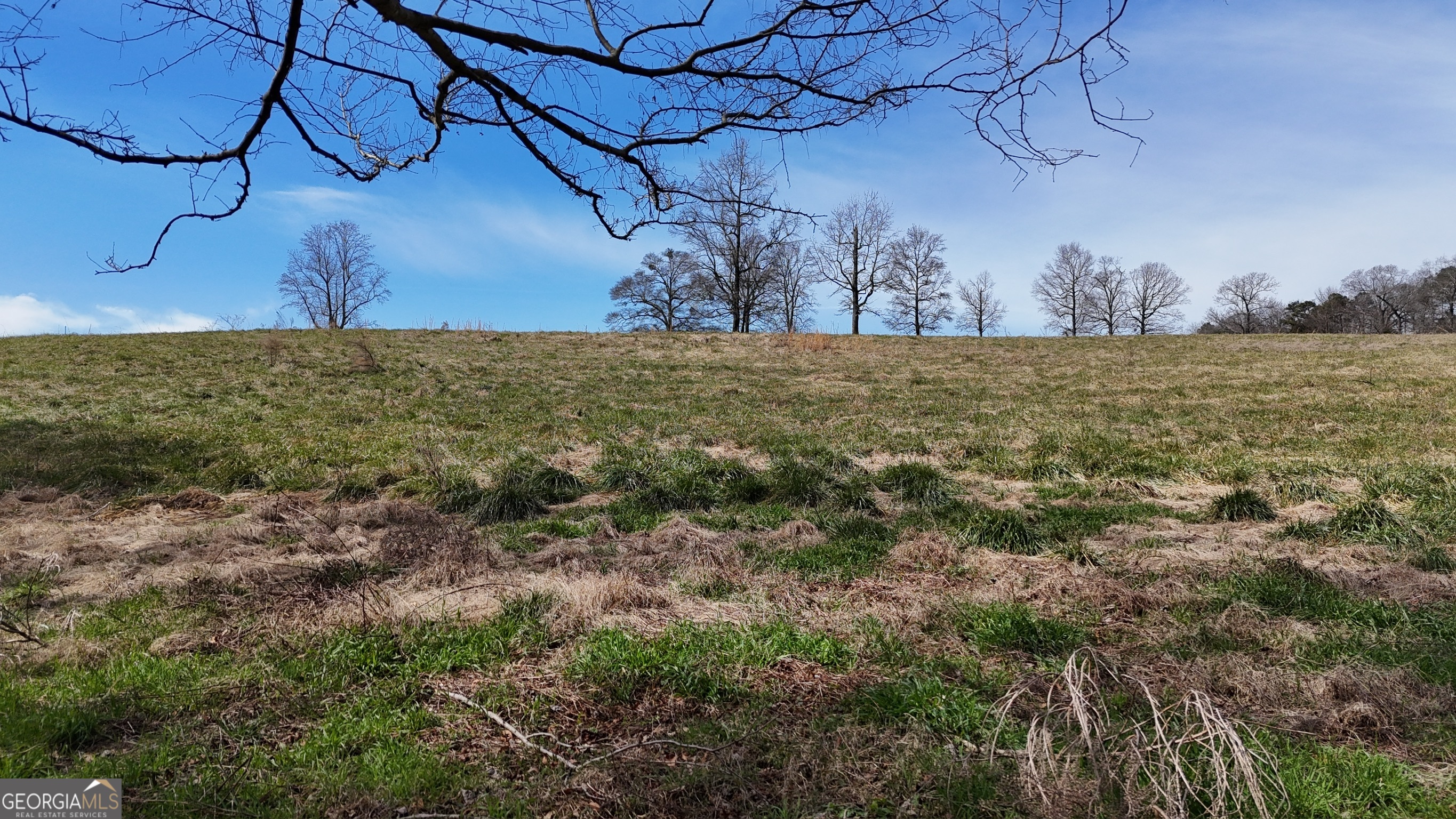 10 Colt Lane Commerce, GA 30530 - Photo 38 of 44 a view of a yard