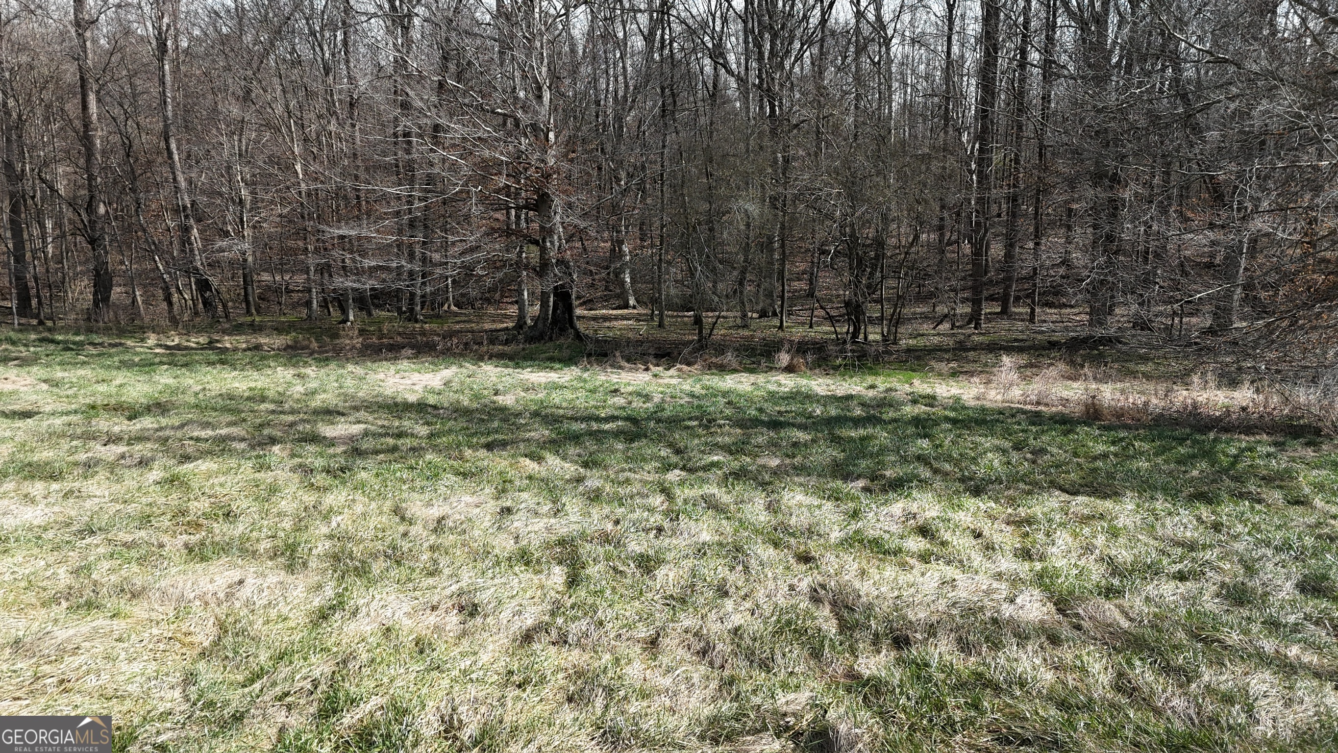 10 Colt Lane Commerce, GA 30530 - Photo 7 of 44 a view of small yard