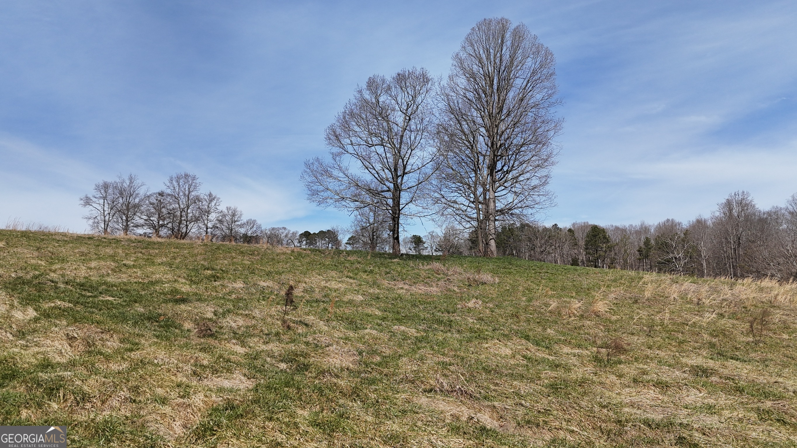 10 Colt Lane Commerce, GA 30530 - Photo 8 of 44 a view of outdoor space and yard