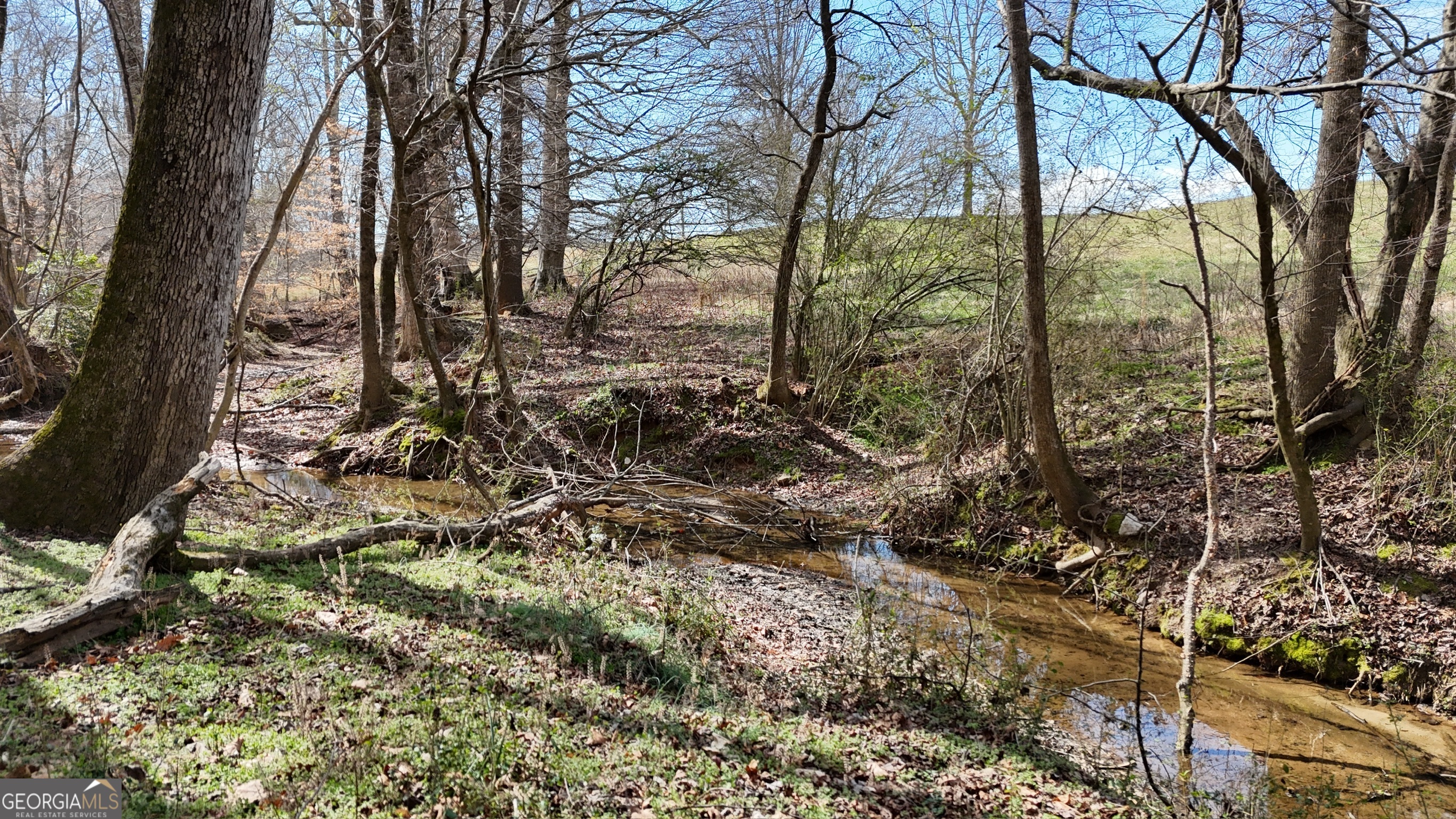 10 Colt Lane Commerce, GA 30530 - Photo 9 of 44 a view of a yard