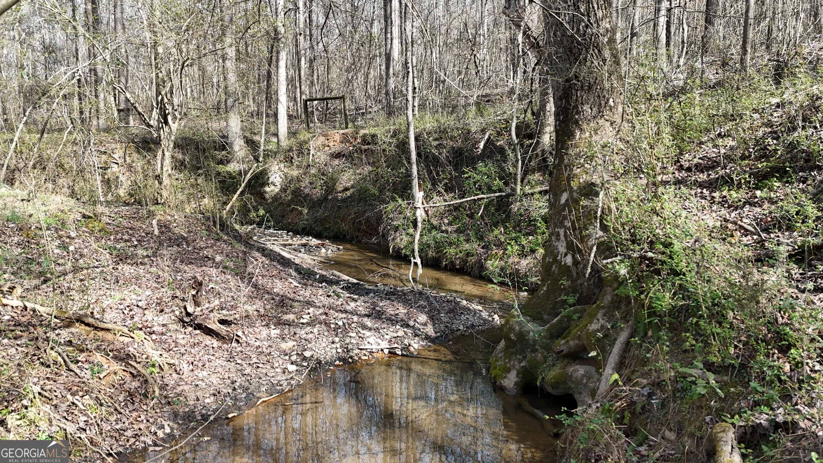 10 Colt Lane Commerce, GA 30530 - Photo 10 of 44 a view of a house with a tree