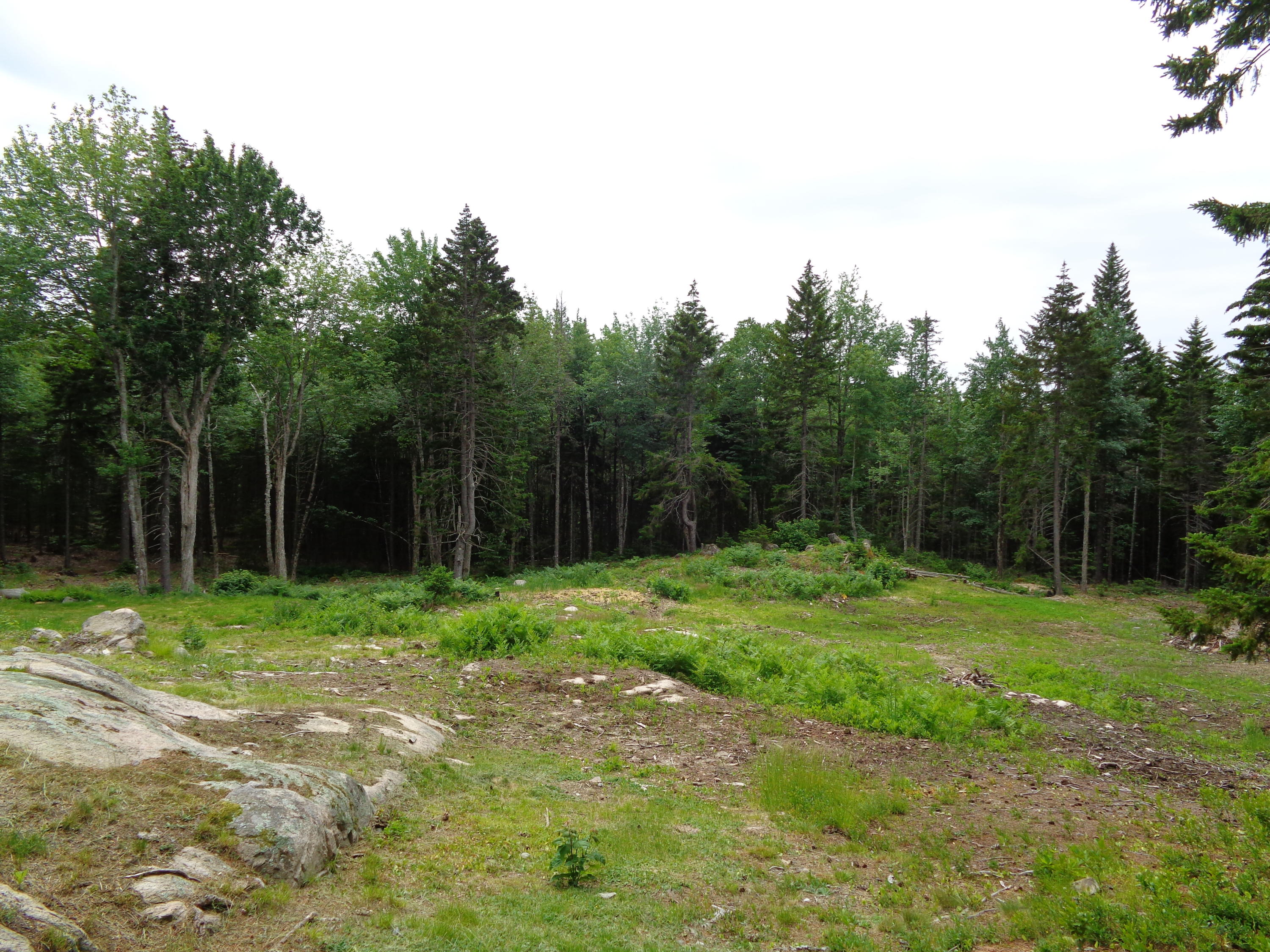 19 Peninsula Road Gouldsboro, ME 04624 - Photo 65 of 72 DSC05287