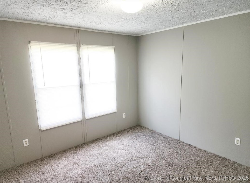 420 Pine Tree Road Lumberton, NC 28360 - Photo 12 of 18 an empty room with windows