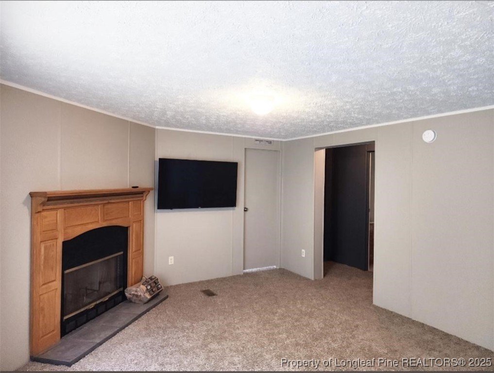 420 Pine Tree Road Lumberton, NC 28360 - Photo 16 of 18 a view of an empty room with a fireplace