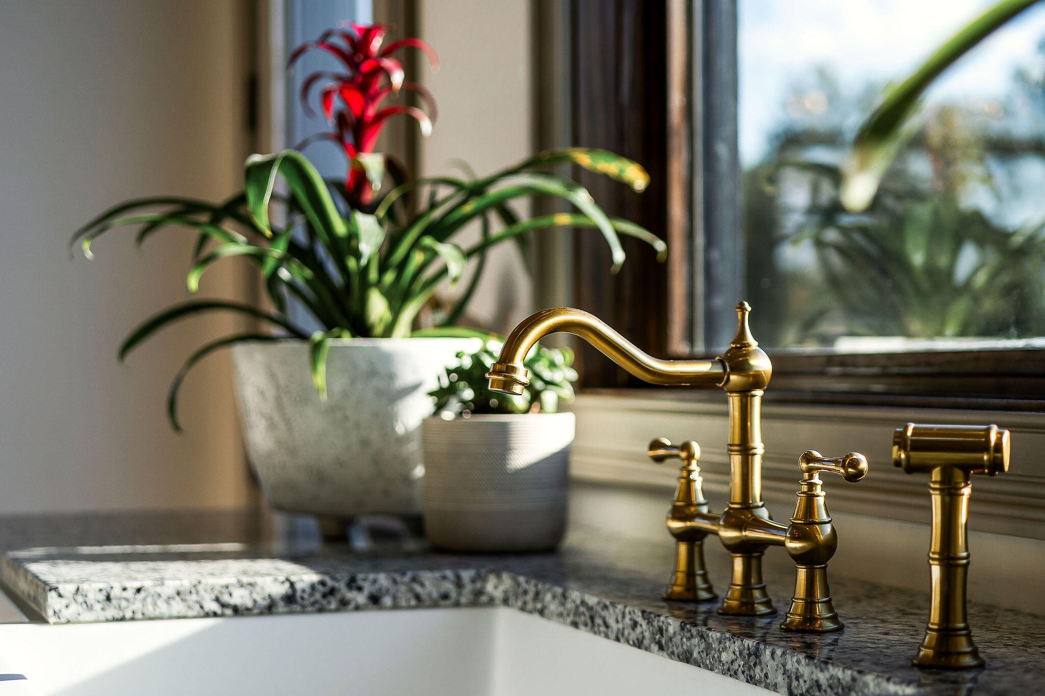 1656 Dibrell-Lucky Road McMinnville, TN 37110 - Photo 37 of 62 a vase of flowers sitting on a table