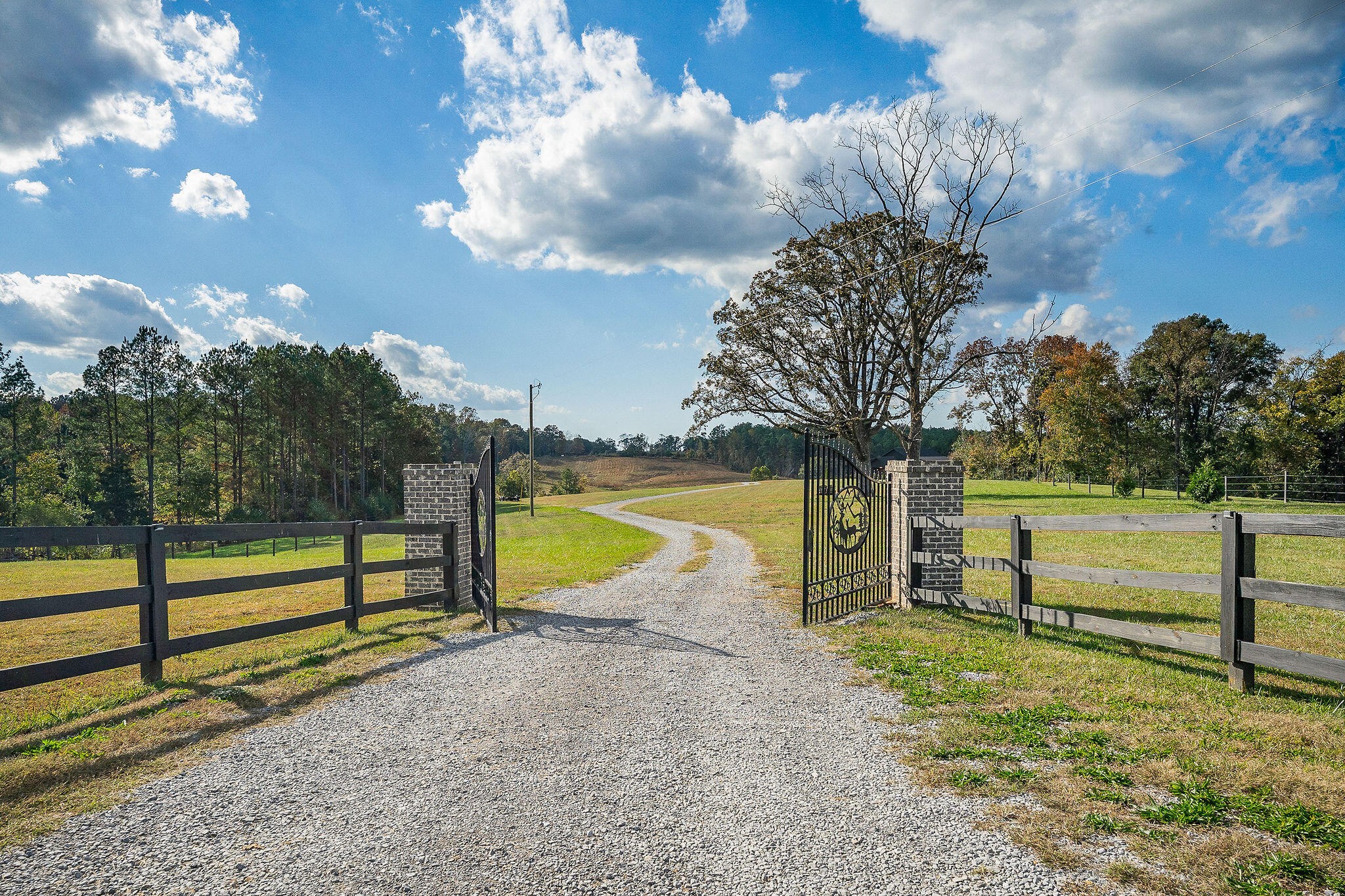 1656 Dibrell-Lucky Road McMinnville, TN 37110 - Photo 47 of 62